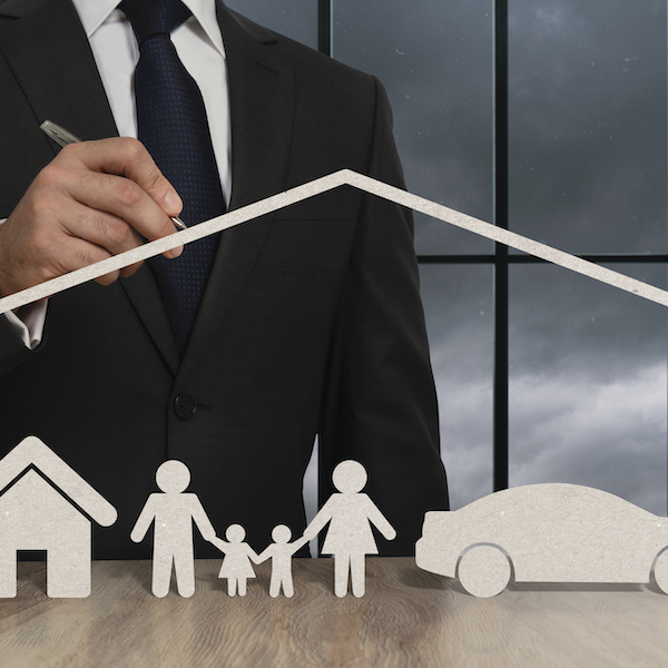 Insurance and Tort Law